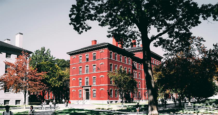 易降论AI率,易降论降AIGC,易降论免费查AI率