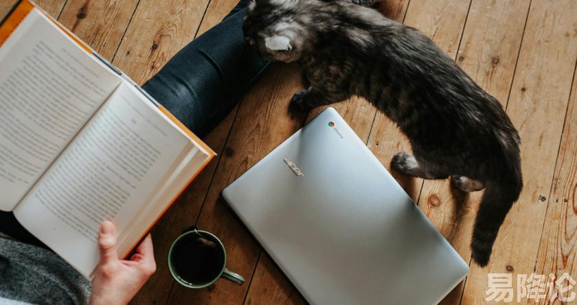 易降论AI率,易降论降AIGC，易降论免费查AI率